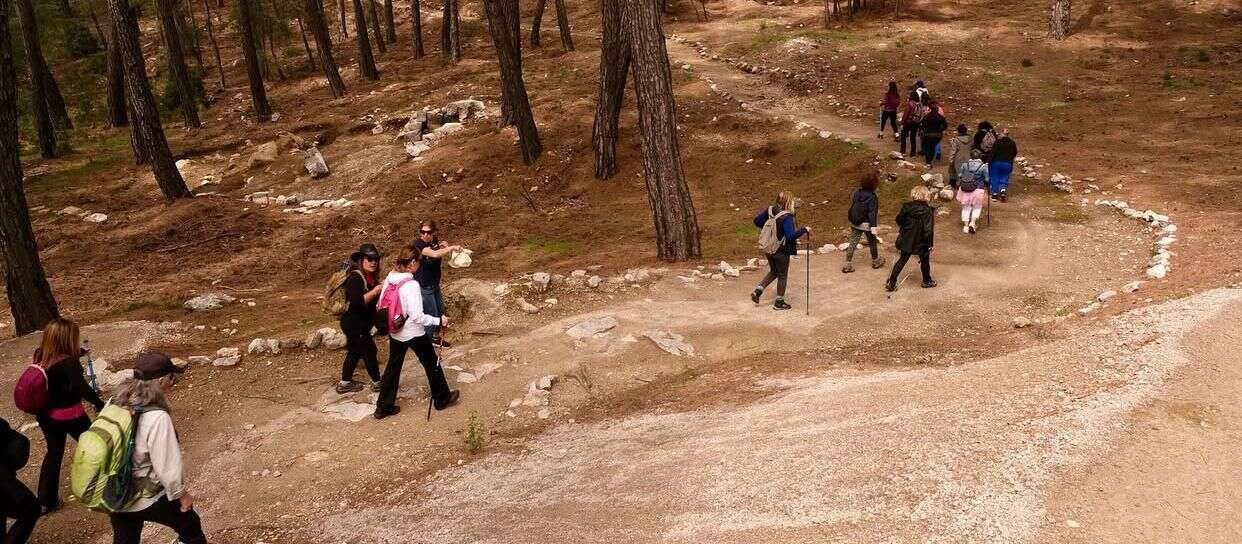 Fethiye’de Festival Doğayla Buluştu: Kadyanda’da Mantar Avı Ve Yürüyüşe Yoğun Katılım 2